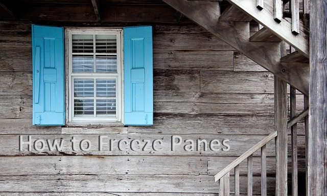 ウィンドウ 枠 の 固定 複数 行